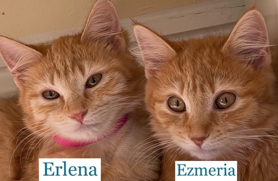 Erlena and Ezmeria