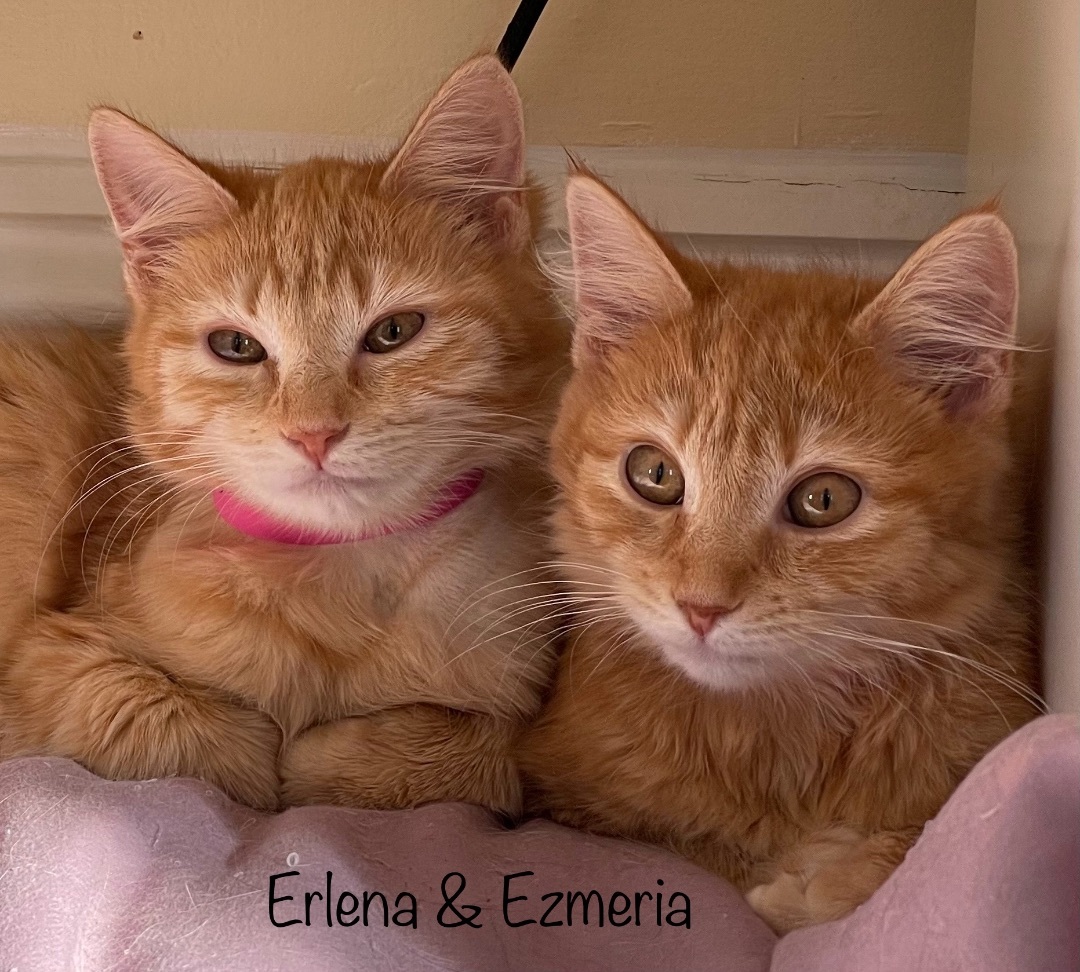 Erlena and Ezmeria