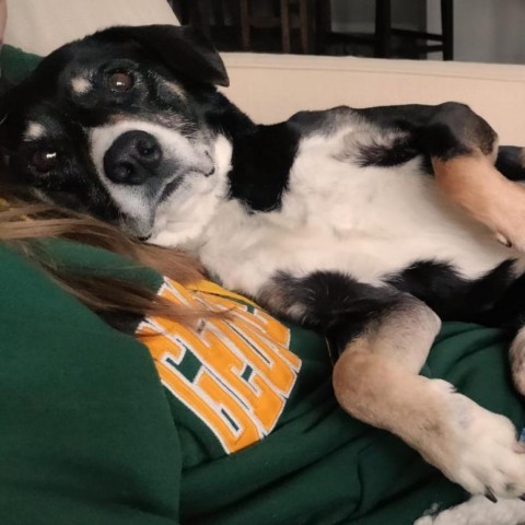 Ernie 5