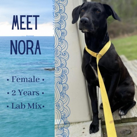 Nora detail page