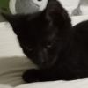 Gus photo 1