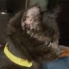 Gus photo 2