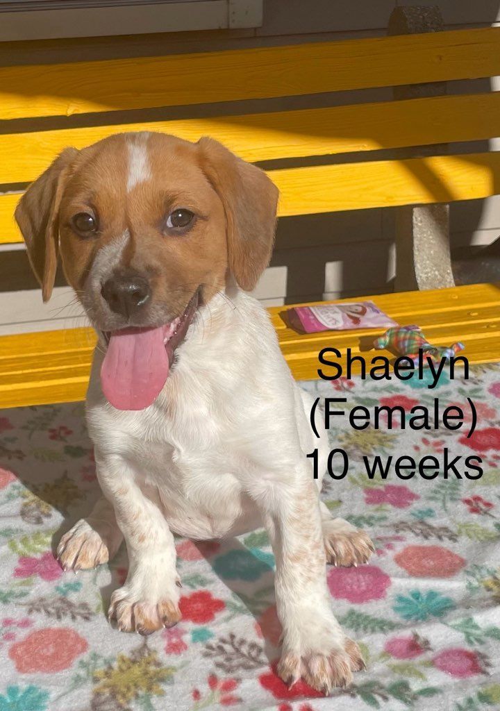Shaelyn of the 