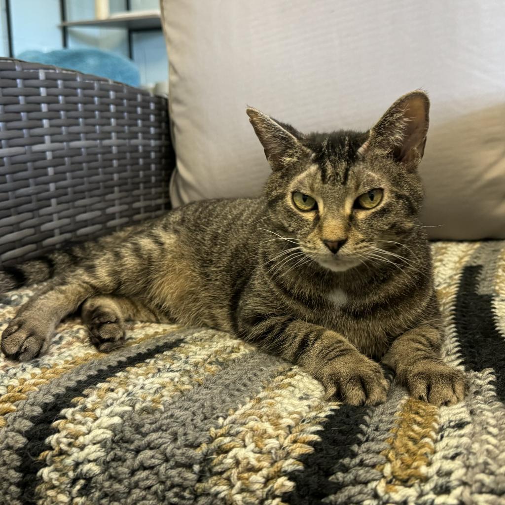Fig