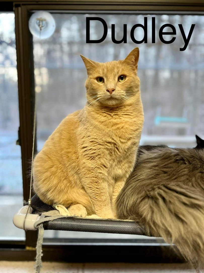Dudley