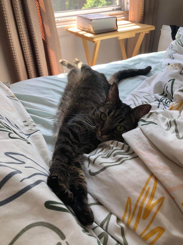 Simone
