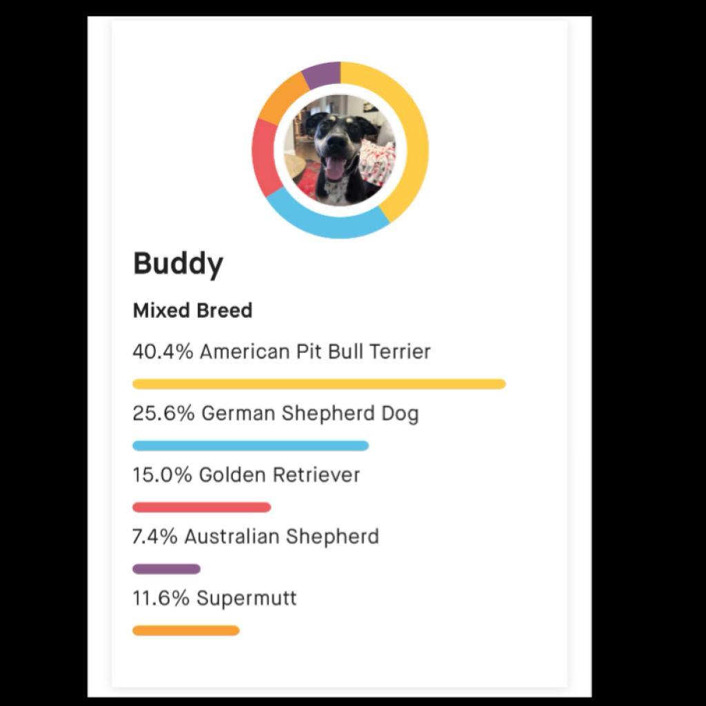 Buddy