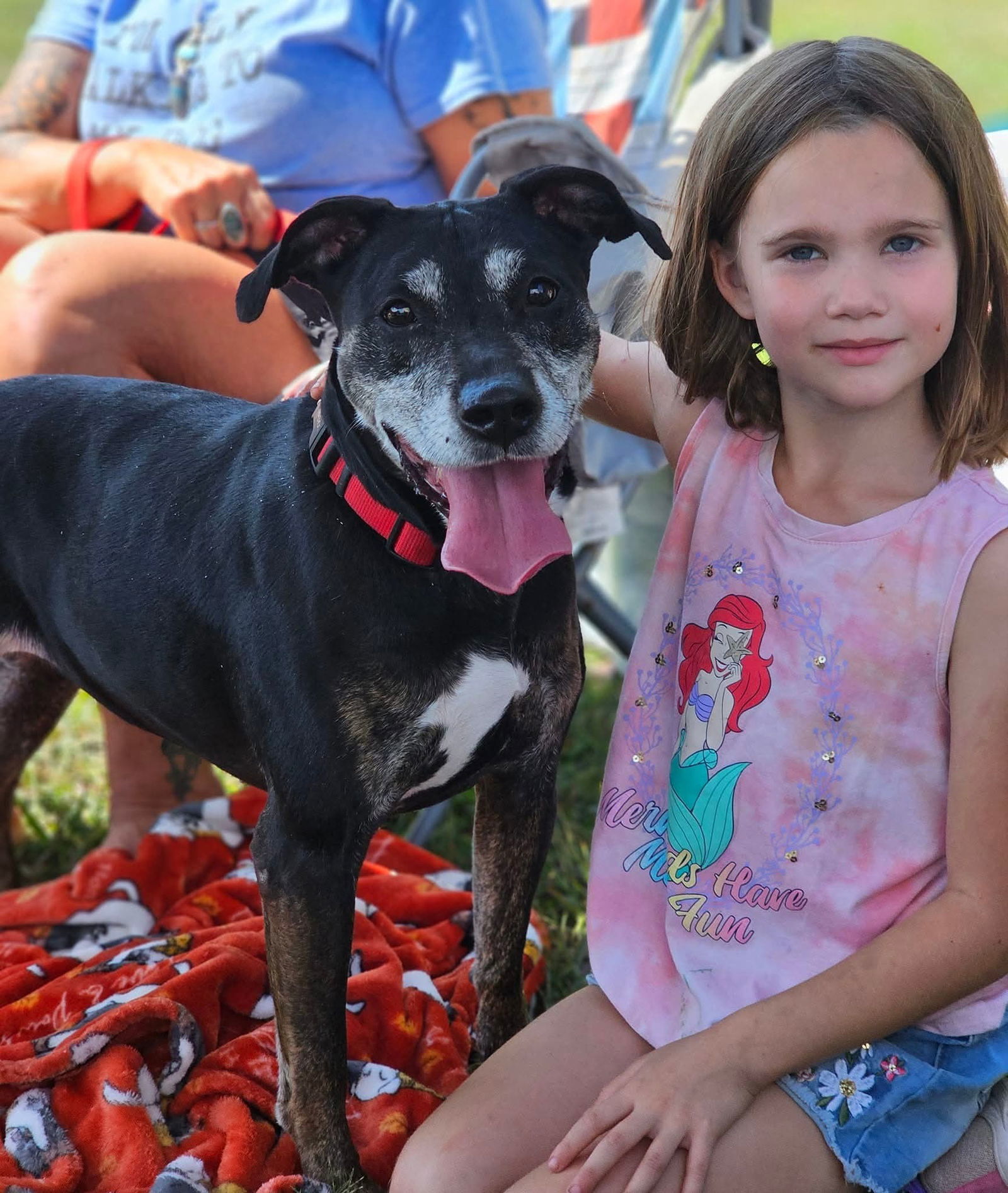 Poppy, an adoptable Coonhound in Fairmont, WV, 26554 | Photo Image 3