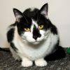 MooMoo photo 4