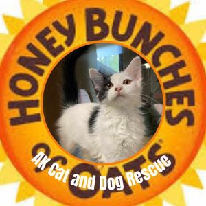 Honey Bunches