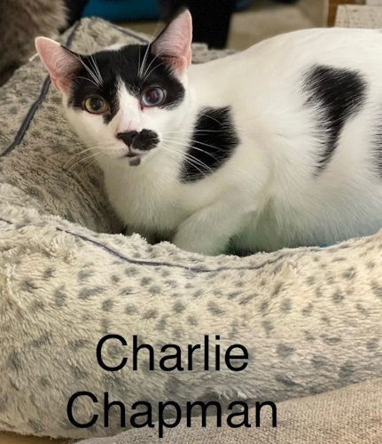 Charlie Chapman - Center