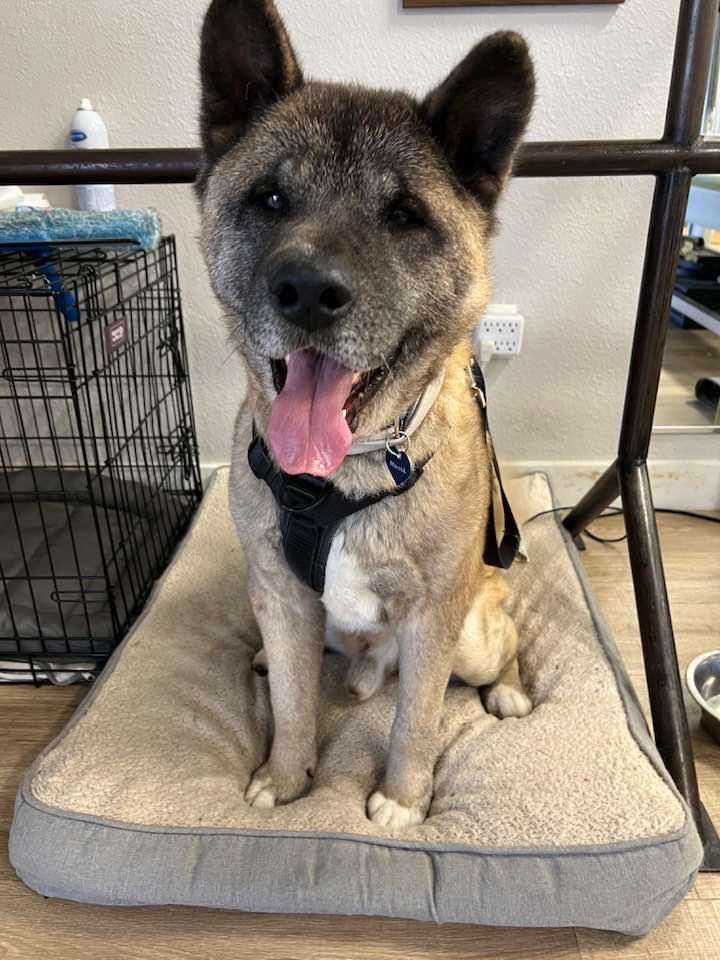 **Benji**