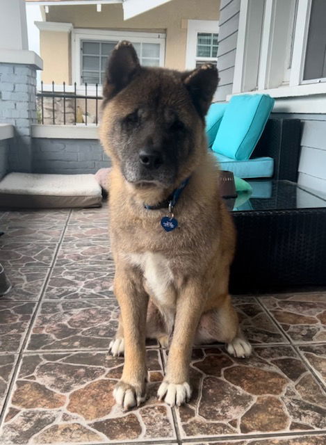 **Benji**