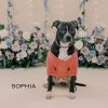 Sophia photo 2