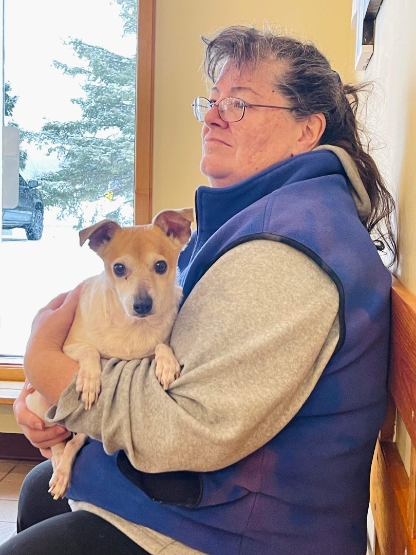 Honey, an adoptable Rat Terrier, Chihuahua in Winter, WI, 54896 | Photo Image 2
