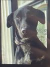 Perdita photo 2
