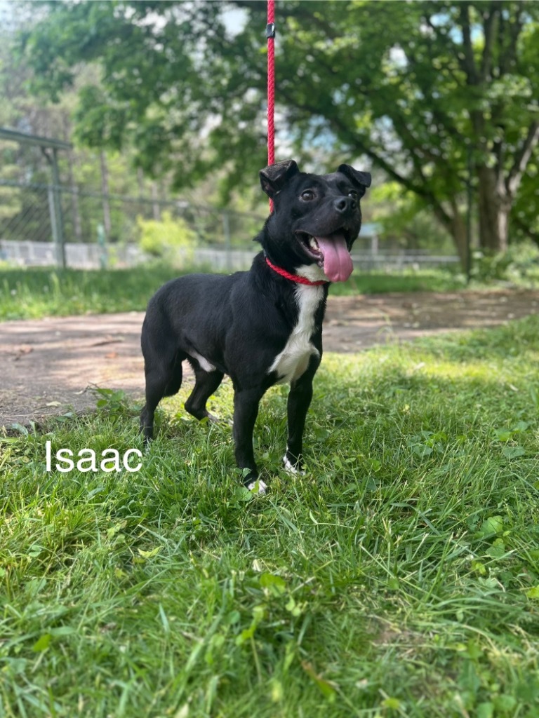Isaac