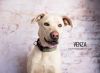 Venza photo 1