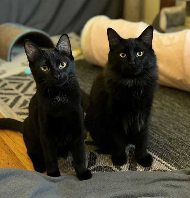 Holli and Billy