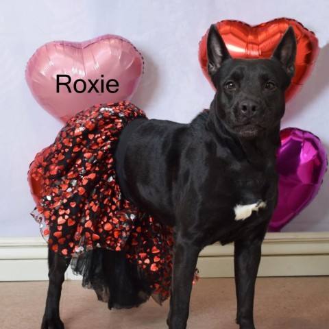 Roxie
