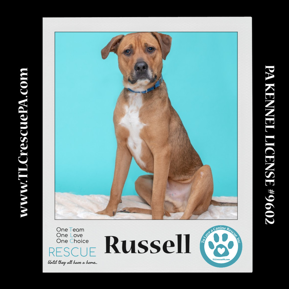 Russell (Dream House Duo) 041523