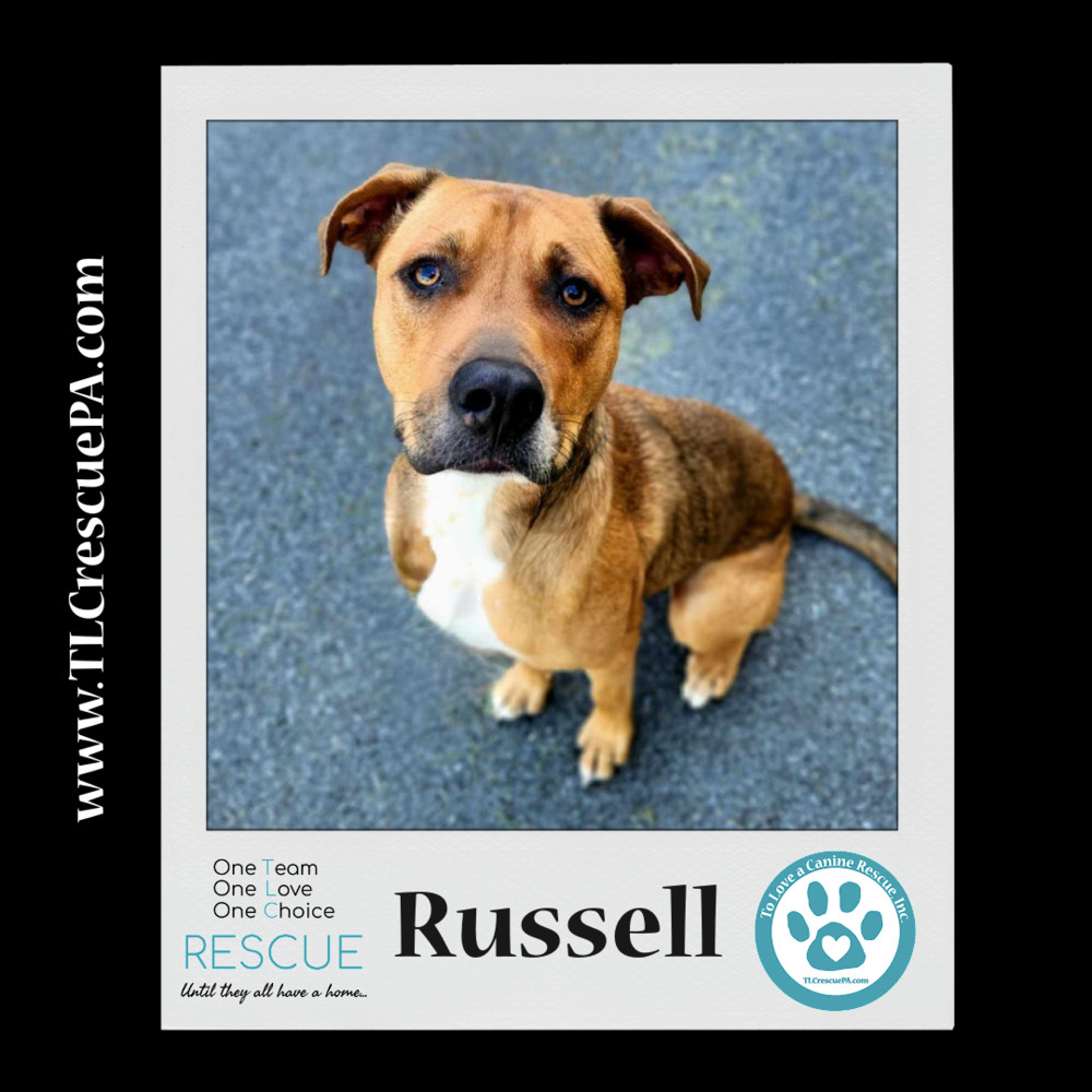 Russell (Dream House Duo) 041523
