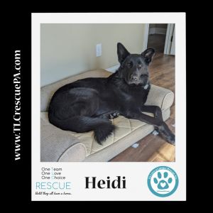 Heidi 111321