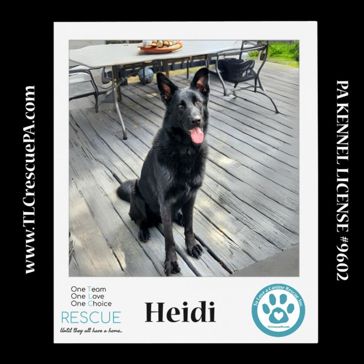 Heidi 111321 2