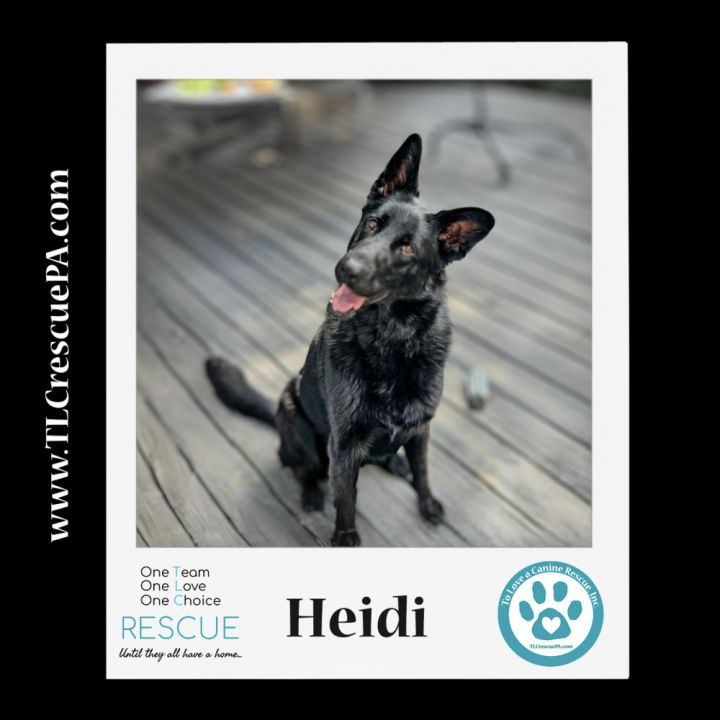 Heidi 111321 4