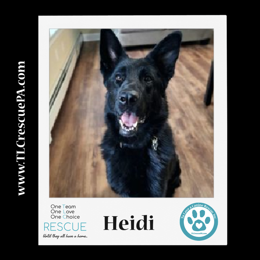 Heidi 111321
