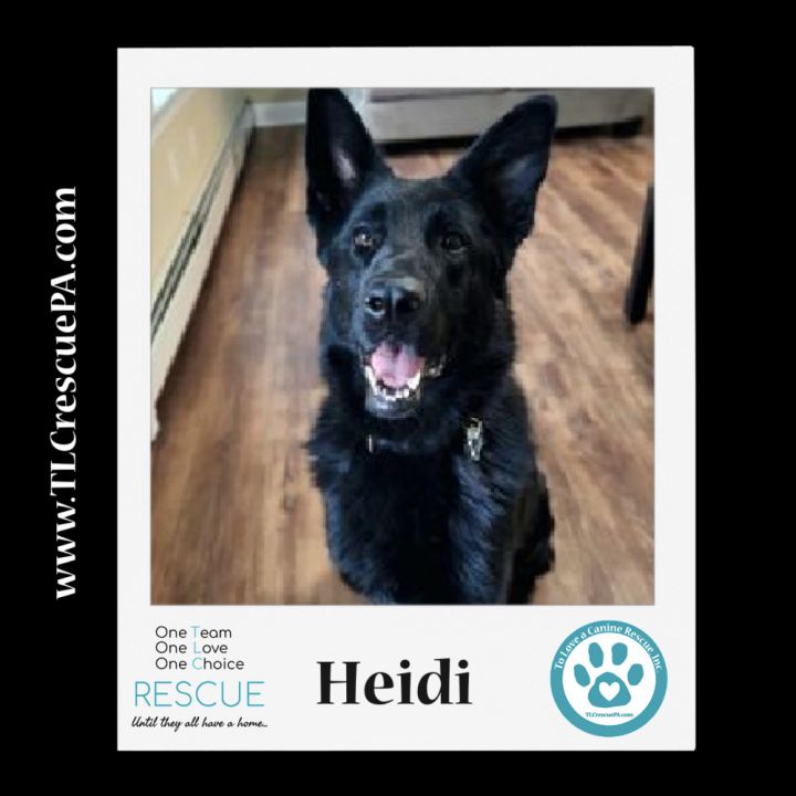 Heidi 111321 5