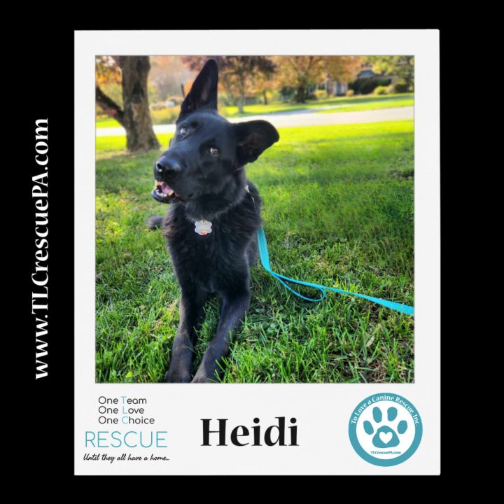 Heidi 111321 6