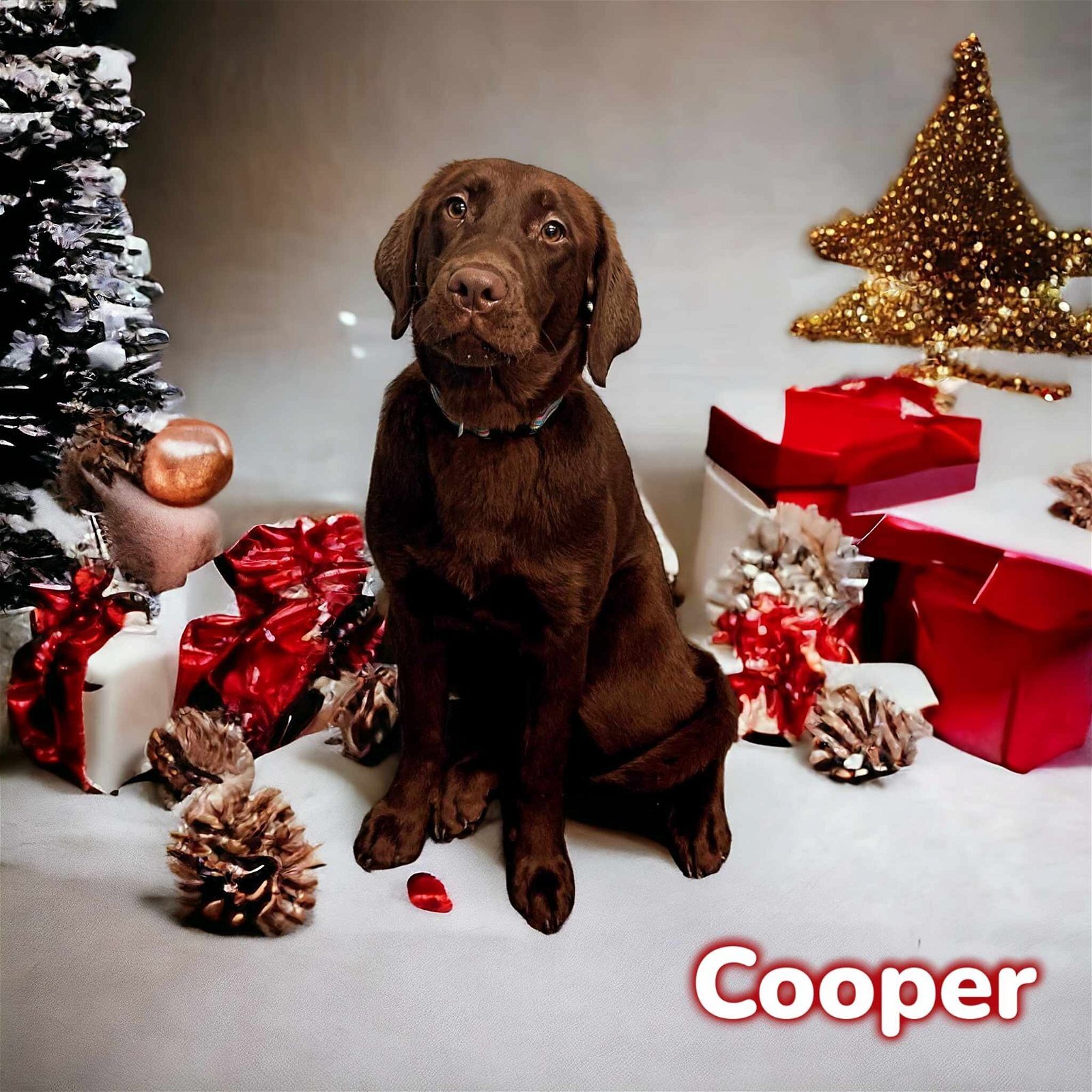 Cooper detail page