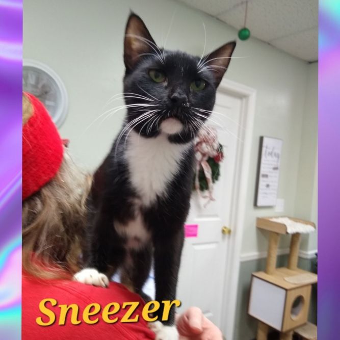 Sneezer