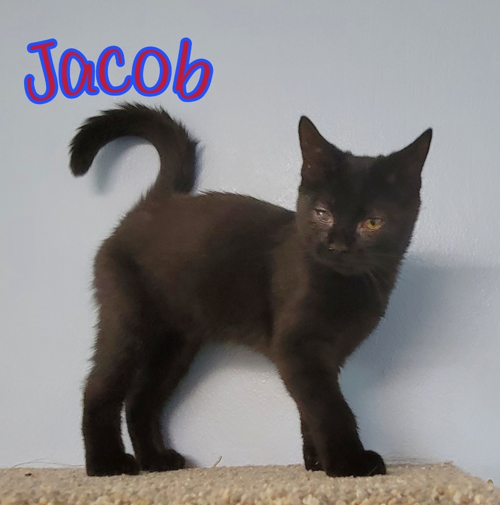 Jacob