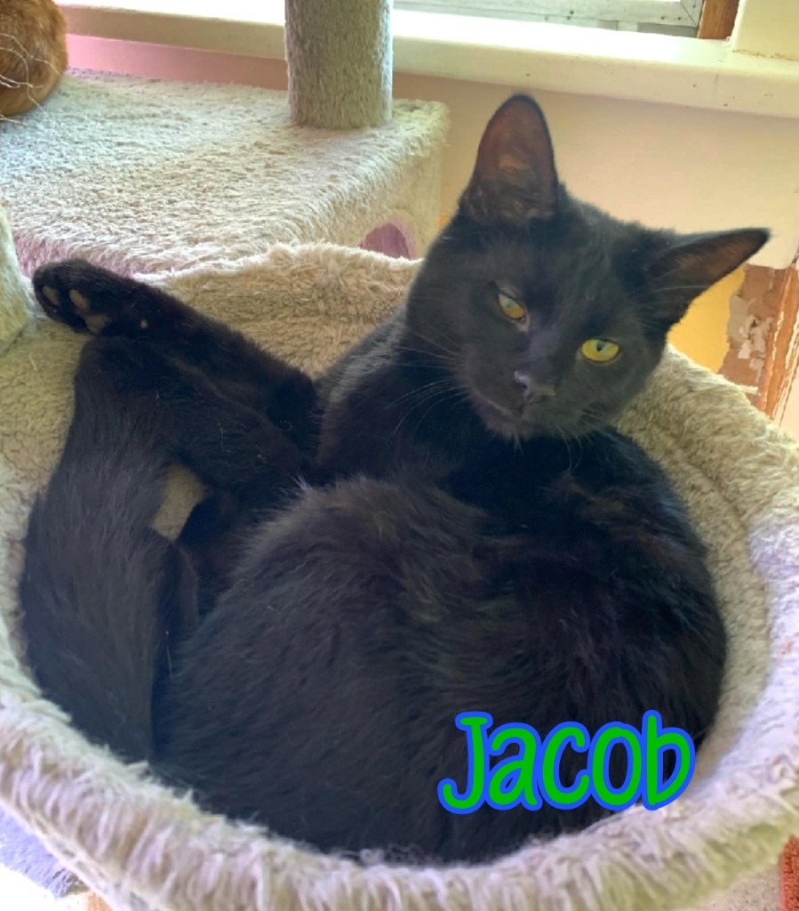 Jacob
