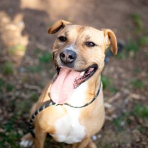 Virginia is a cutie-pie and sweet as punch She is your perfect summertime girl This 1-year-old me