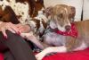 Maggie photo 2