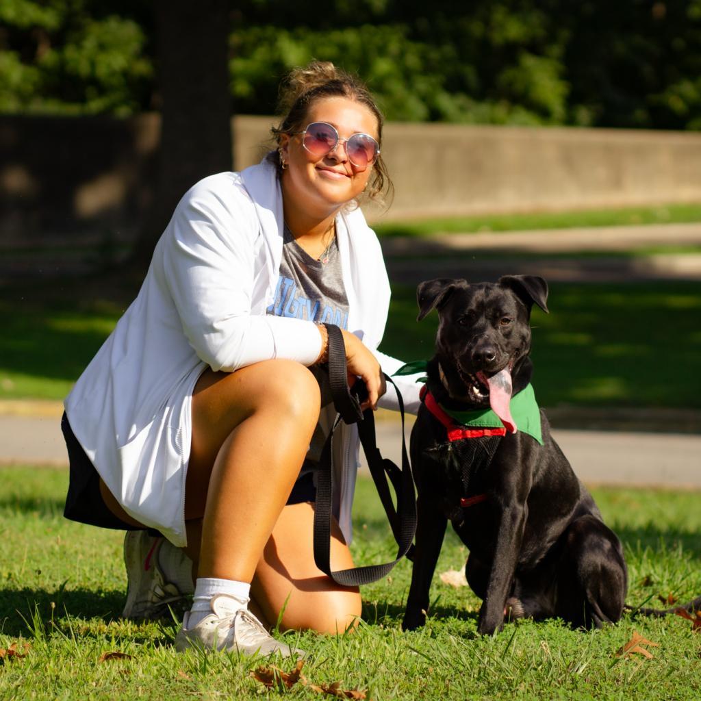 Dennis, an adoptable Black Labrador Retriever, Mixed Breed in Evansville, IN, 47710 | Photo Image 3
