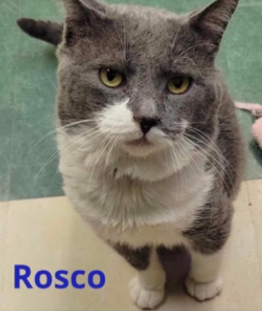 Rosco detail page