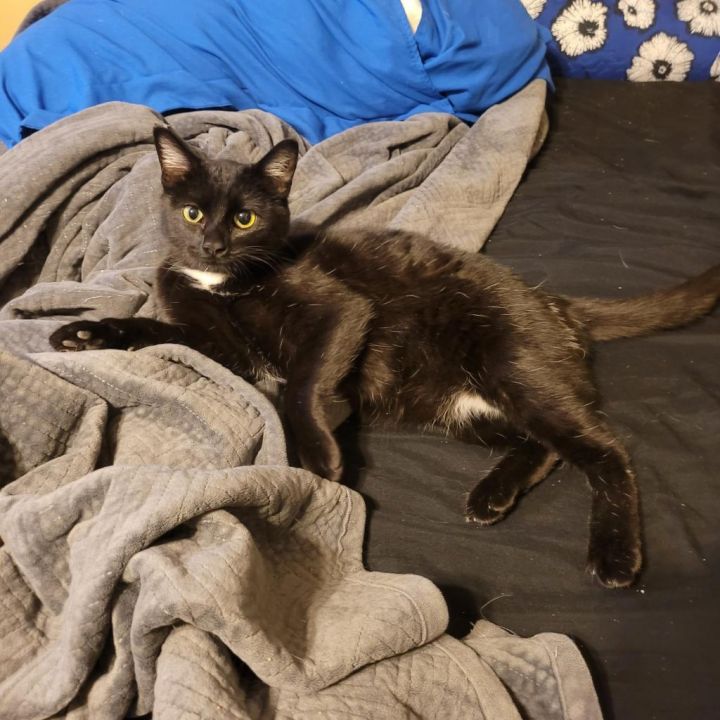Sadie Jane 3