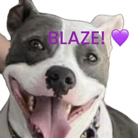 Blaze 2