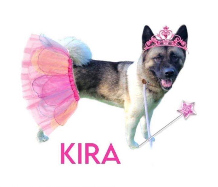 Kira  2