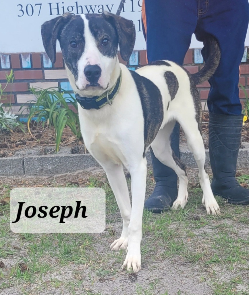 Joeseph