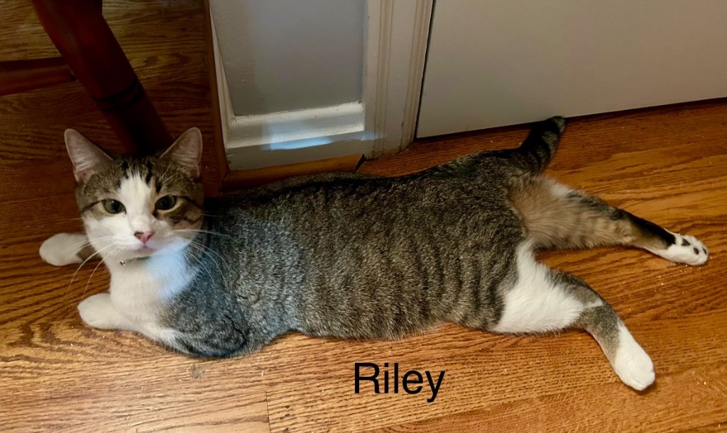 Riley bonded with Scarlet