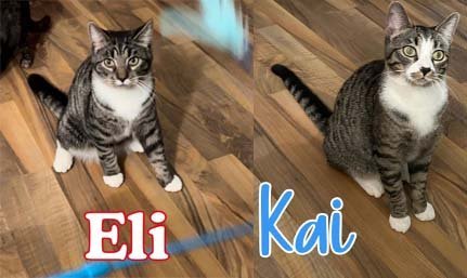 Kai and Eli