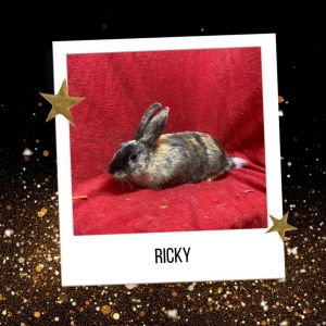 Ricky