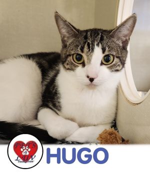 Hugo