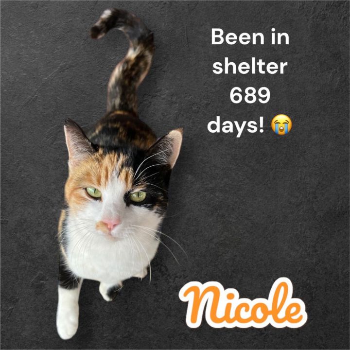 Nicole 1