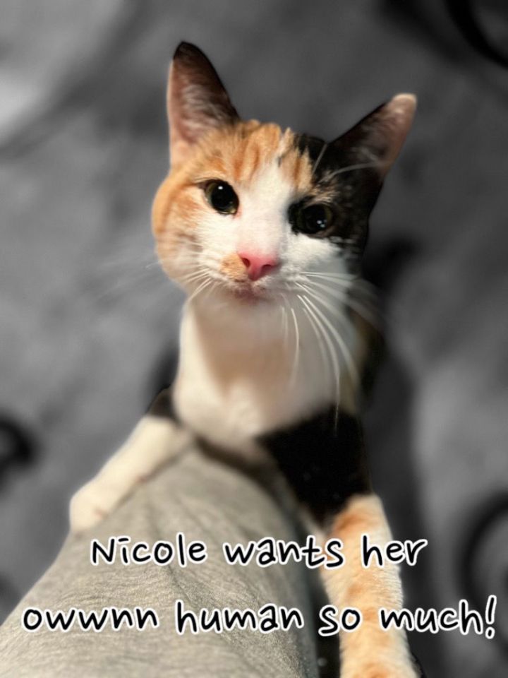 Nicole 2